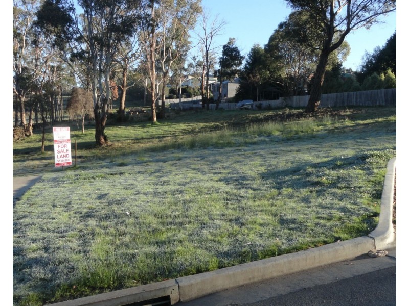 Launceston TAS 7250