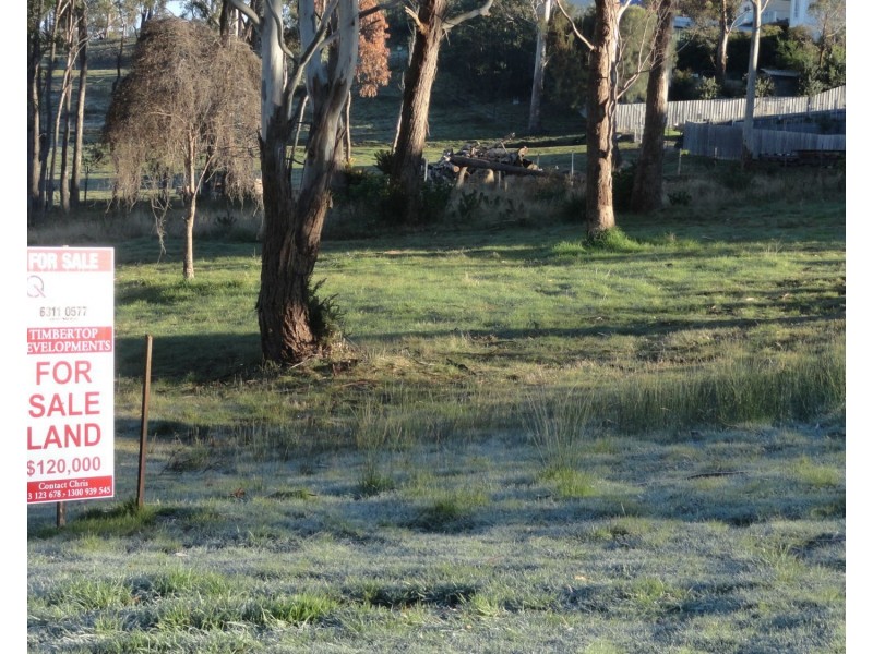 Launceston TAS 7250