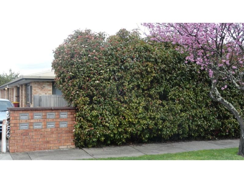 unit 7/35-37 Snow Street, Newnham TAS 7248