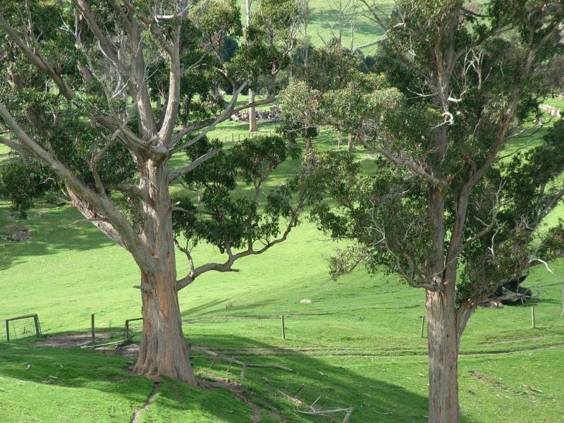 67 Rowleys Road, Karoola TAS 7267