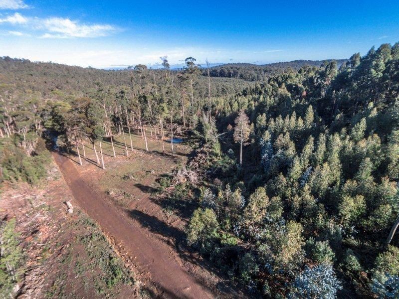 1/659 Lilydale Road, Underwood TAS 7268