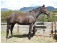 121 Boons Road, Blackwood Creek TAS 7301