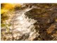 121 Boons Road, Blackwood Creek TAS 7301