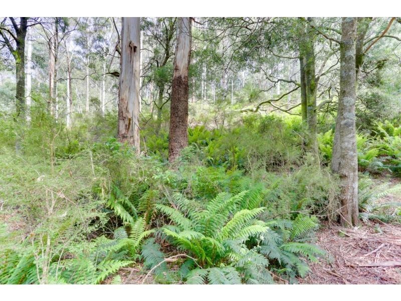 121 Boons Road, Blackwood Creek TAS 7301