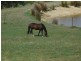 121 Boons Road, Blackwood Creek TAS 7301