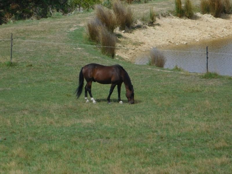 121 Boons Road, Blackwood Creek TAS 7301