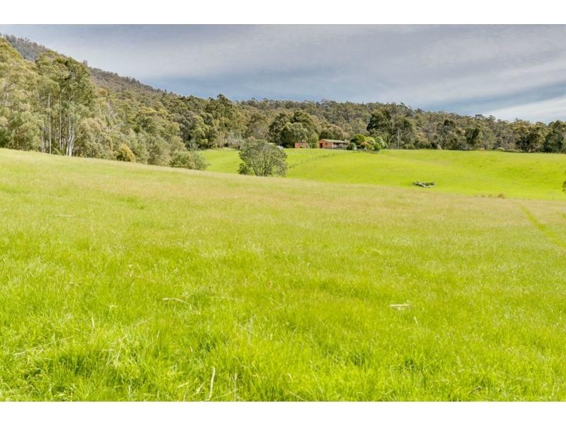 121 Boons Road, Blackwood Creek TAS 7301