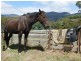121 Boons Road, Blackwood Creek TAS 7301