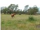 lot 1 Greens Beach Road, Beaconsfield TAS 7270