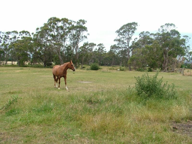 lot 1 Greens Beach Road, Beaconsfield TAS 7270