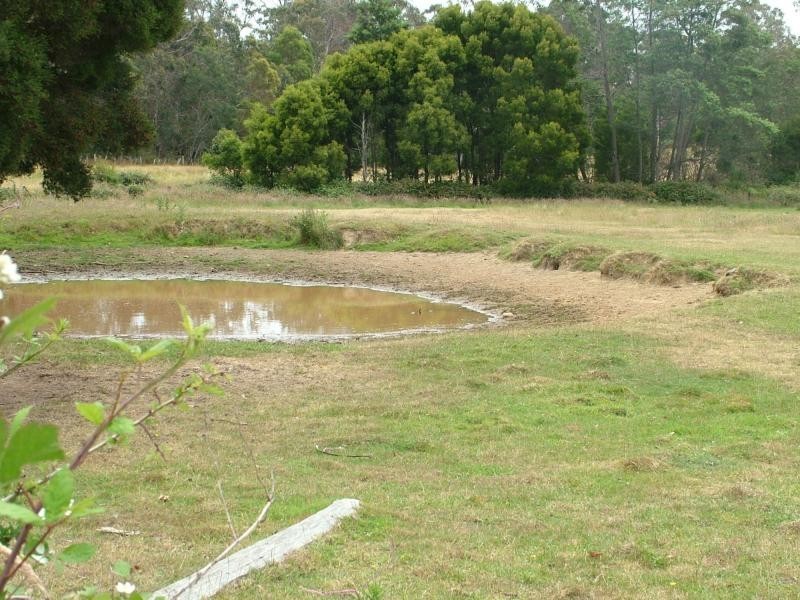 lot 1 Greens Beach Road, Beaconsfield TAS 7270