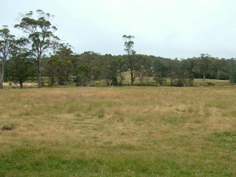 lot 1 Greens Beach Road, Beaconsfield TAS 7270