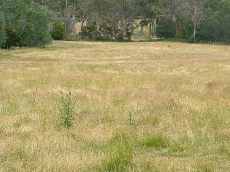 lot 1 Greens Beach Road, Beaconsfield TAS 7270