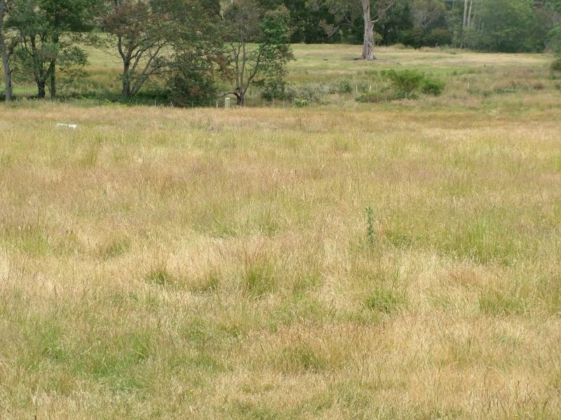 lot 1 Greens Beach Road, Beaconsfield TAS 7270