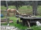 1658 Upper Esk road, Upper Esk, Upper Esk TAS 7214