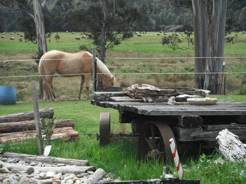 1658 Upper Esk road, Upper Esk, Upper Esk TAS 7214