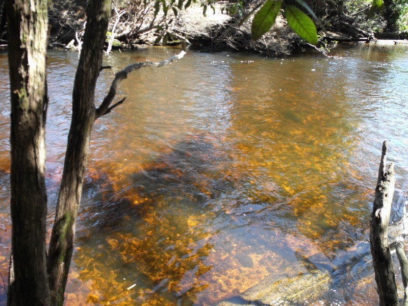 1494 Upper Esk road, Upper Esk, Upper Esk TAS 7214