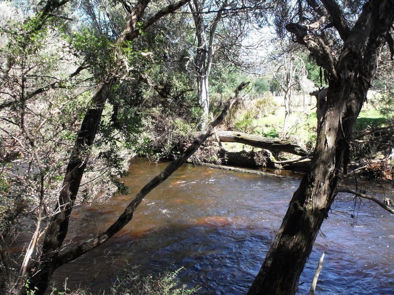 1494 Upper Esk road, Upper Esk, Upper Esk TAS 7214