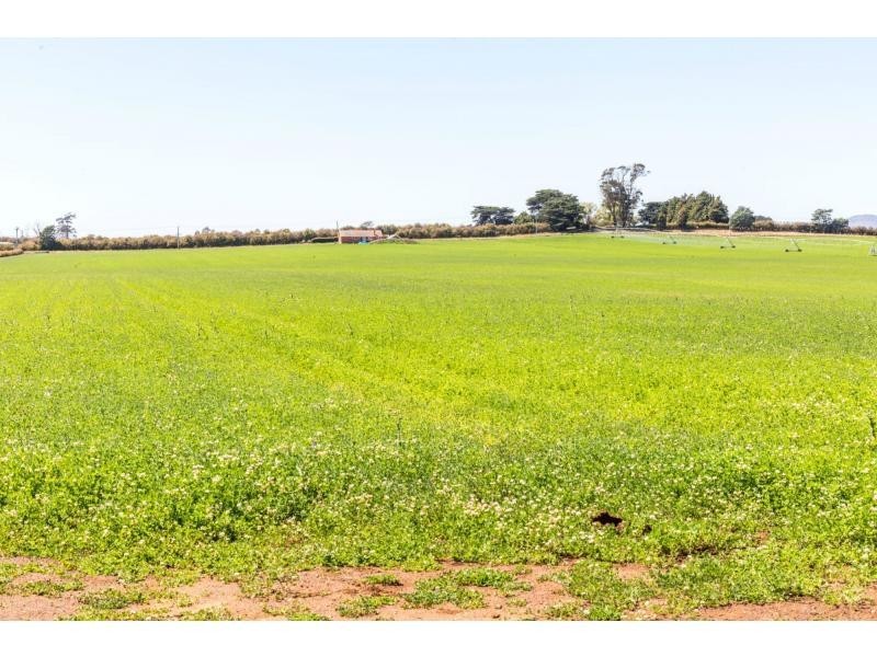 790 Cressy Road, Cressy TAS 7302