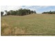 543a John Lees Drive, Dilston TAS 7252