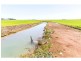 790 Cressy Road, Cressy TAS 7302