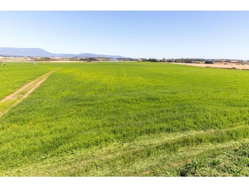 790 Cressy Road, Cressy TAS 7302
