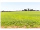 790 Cressy Road, Cressy TAS 7302