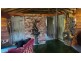 1835 Upper Esk Road, Upper Esk TAS 7214