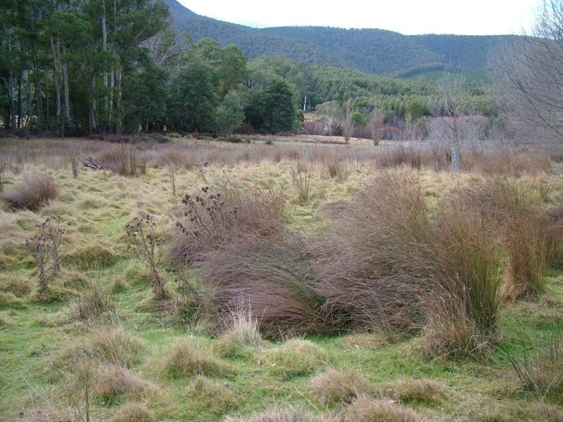 L3 Upper Esk Rd, Upper Esk TAS 7214