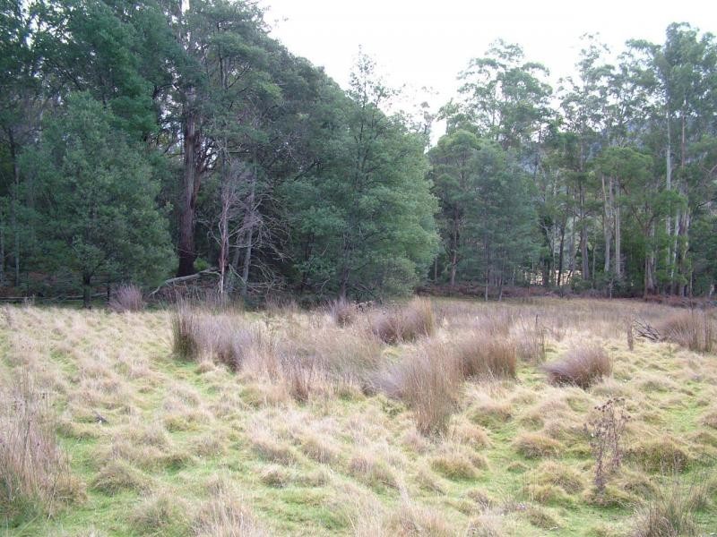 L3 Upper Esk Rd, Upper Esk TAS 7214