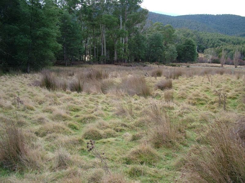 L3 Upper Esk Rd, Upper Esk TAS 7214