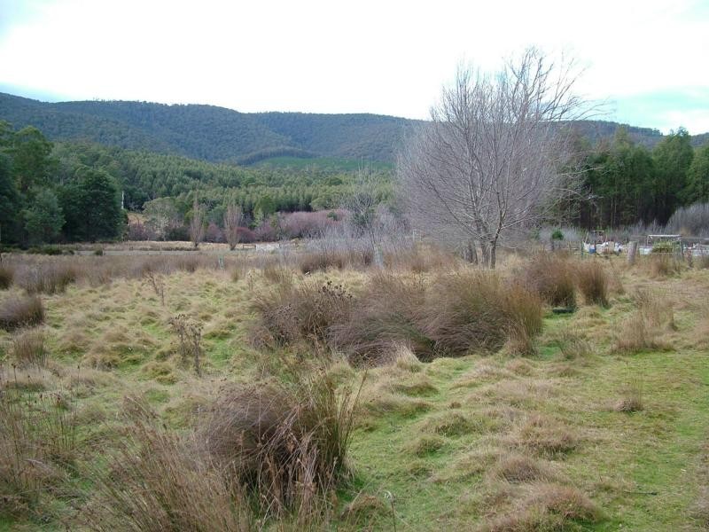 L3 Upper Esk Rd, Upper Esk TAS 7214