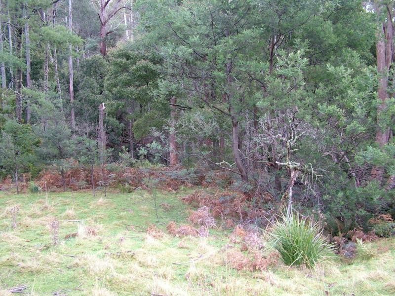 L3 Upper Esk Rd, Upper Esk TAS 7214