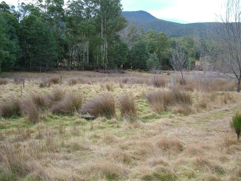 L3 Upper Esk Rd, Upper Esk TAS 7214