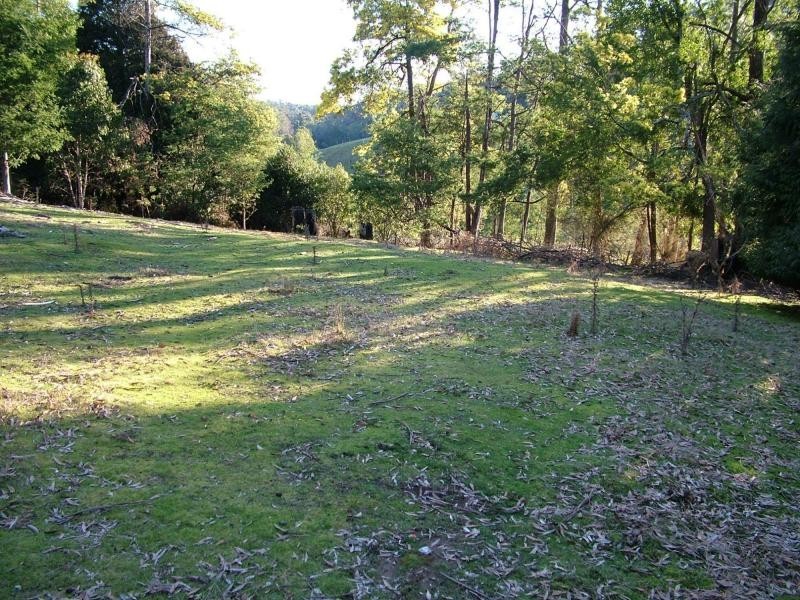 91 Burns road, Wyena TAS 7254