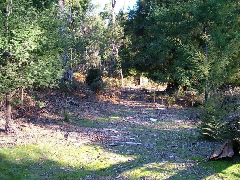 91 Burns road, Wyena TAS 7254