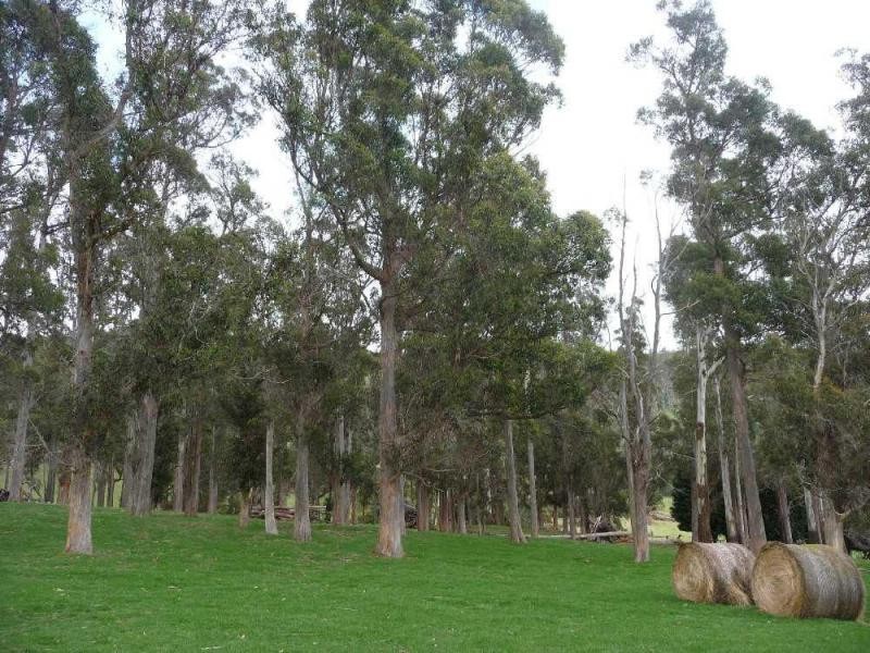 Karoola TAS 7267