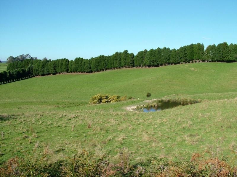 Karoola TAS 7267