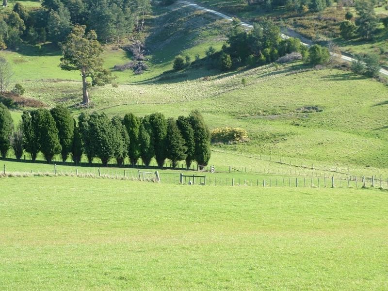 Karoola TAS 7267