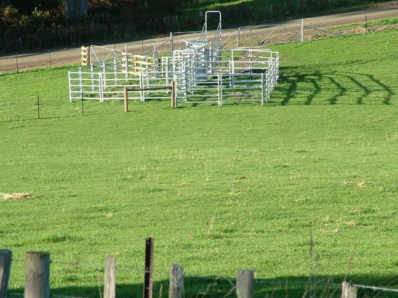 Karoola TAS 7267
