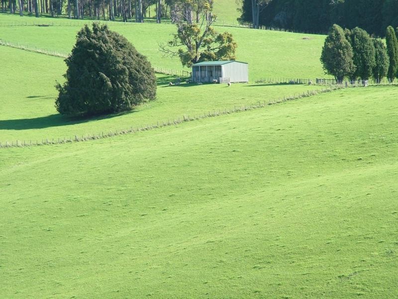 Karoola TAS 7267