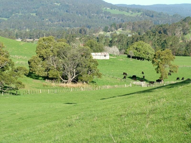 Karoola TAS 7267