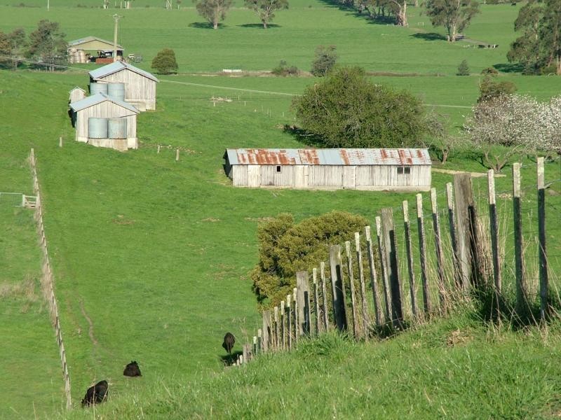 Karoola TAS 7267