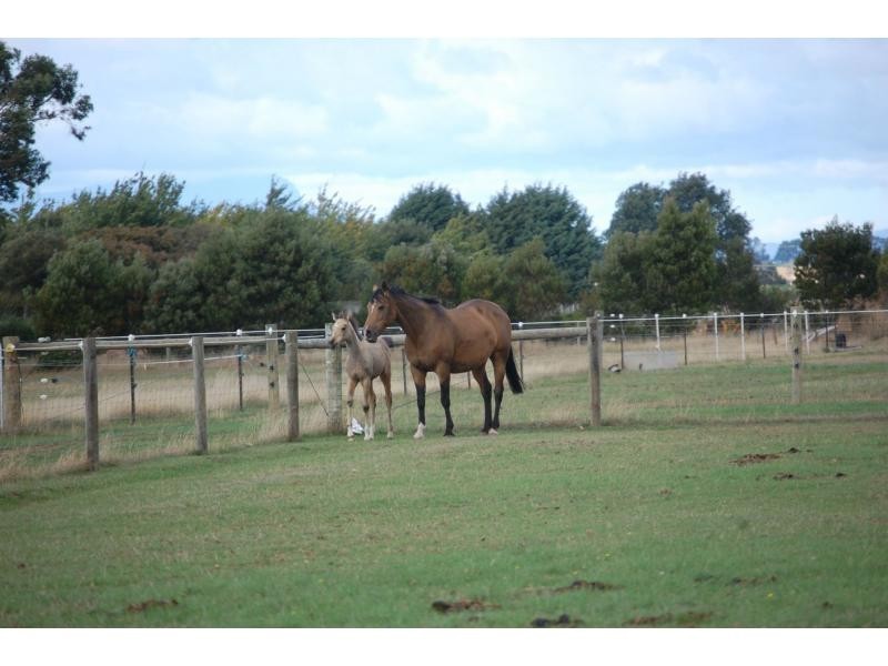 Bishopsbourne TAS 7301