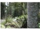 39009 Tasman Highway, Nunamara TAS 7259