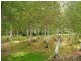 78 Hop Valley Road, Blackwood Creek TAS 7301