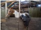 78 Hop Valley Road, Blackwood Creek TAS 7301