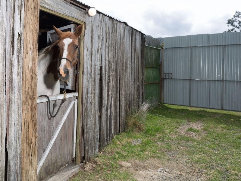 78 Hop Valley Road, Blackwood Creek TAS 7301