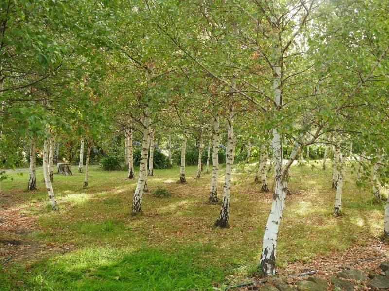 78 Hop Valley Road, Blackwood Creek TAS 7301