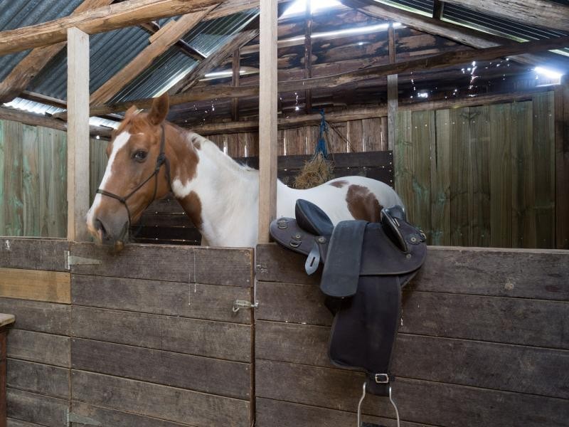 78 Hop Valley Road, Blackwood Creek TAS 7301